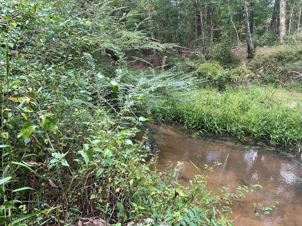 Tbd Ms-568 Property Photo 22
