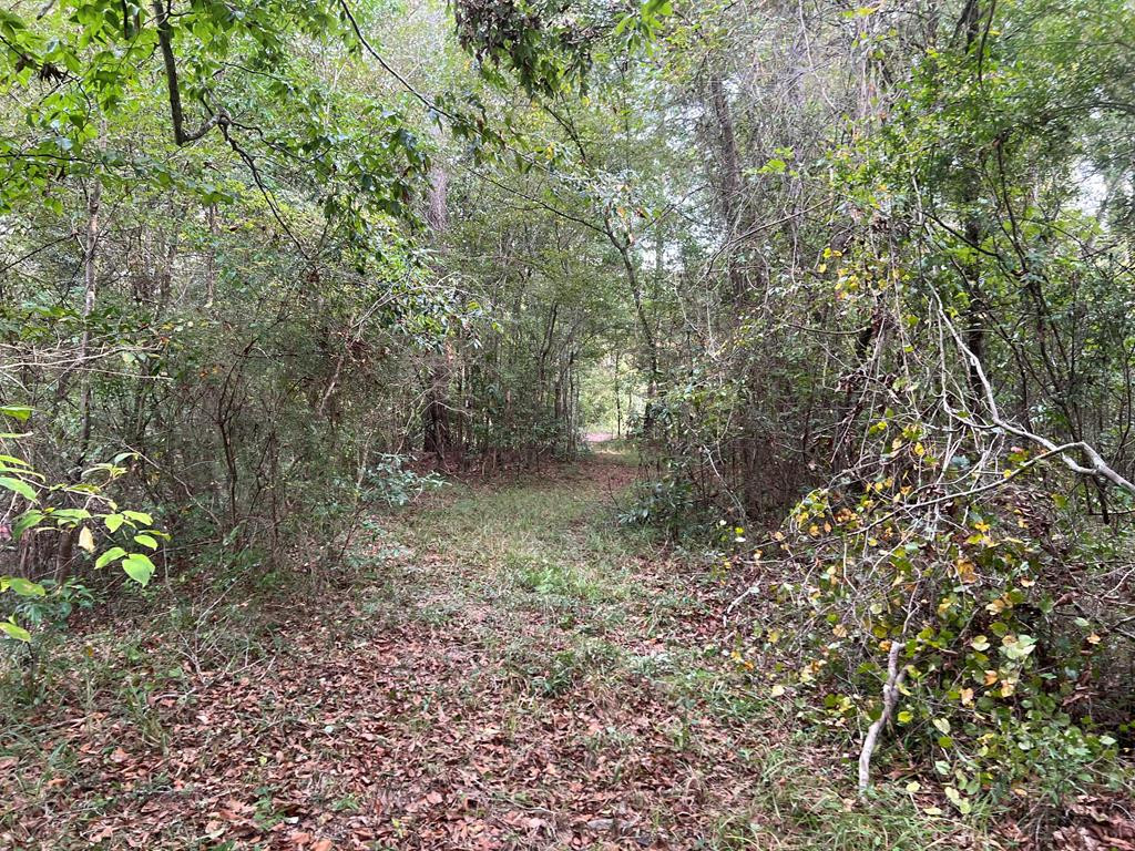 Tbd Ms-568 Property Photo 23