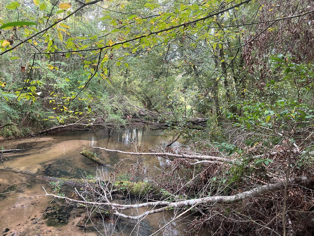 Tbd Ms-568 Property Photo 25