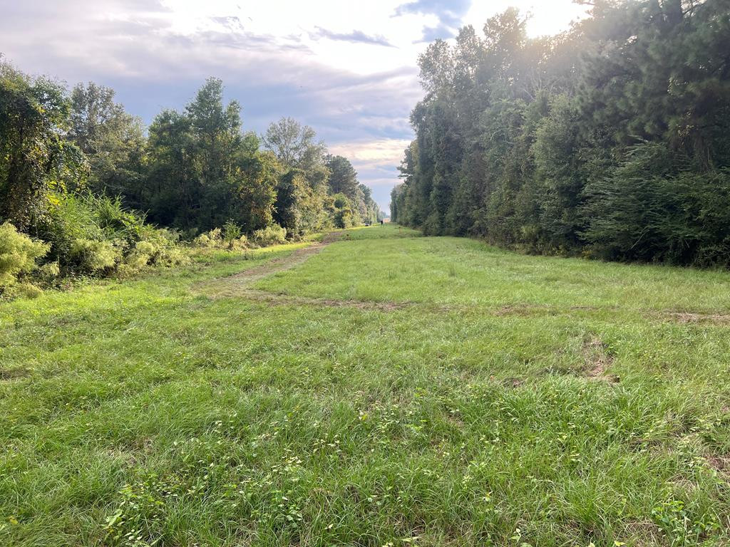 Tbd Ms-568 Property Photo 27