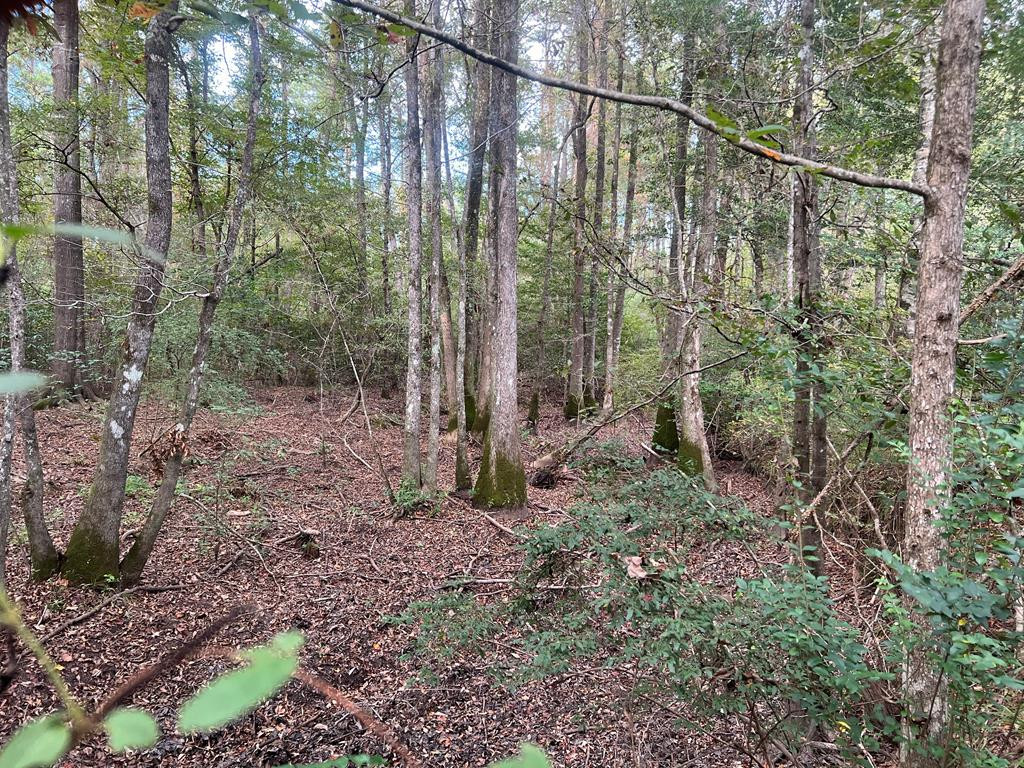 Tbd Ms-568 Property Photo 29