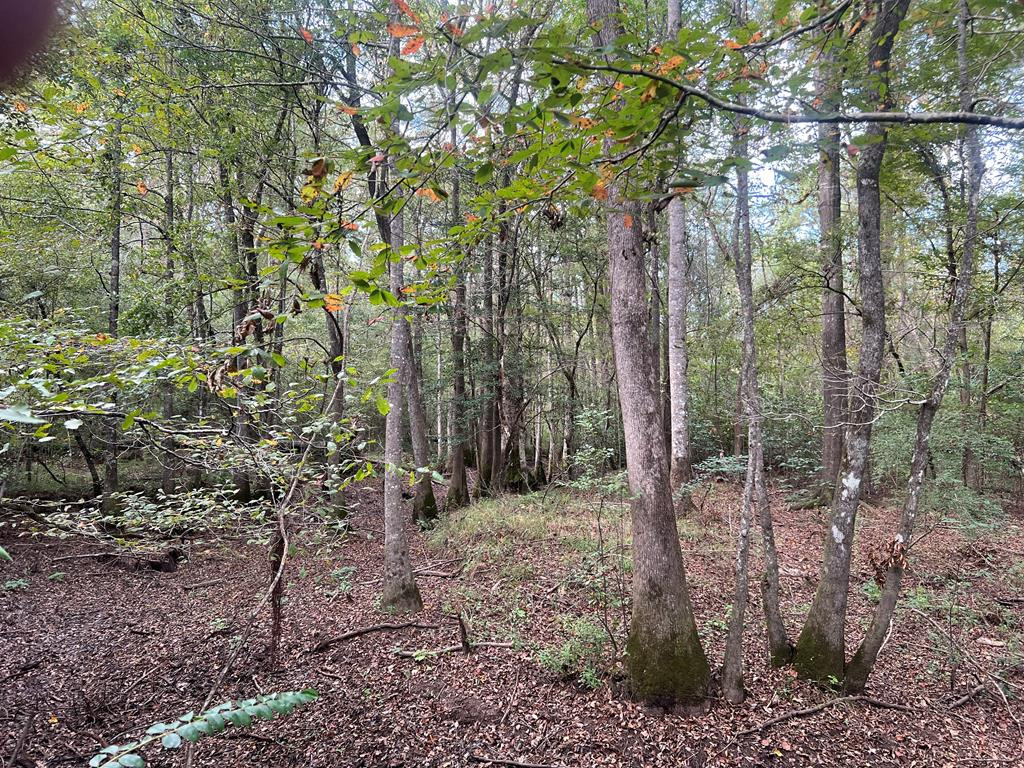 Tbd Ms-568 Property Photo 30