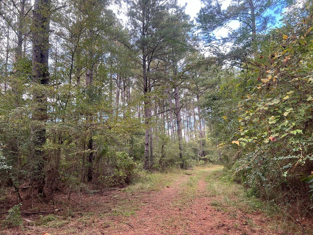 Tbd Ms-568 Property Photo 31