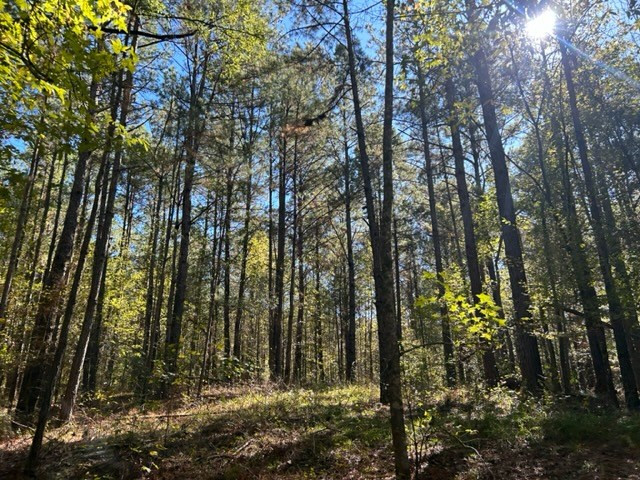 Tbd Highway 550 Property Photo 15