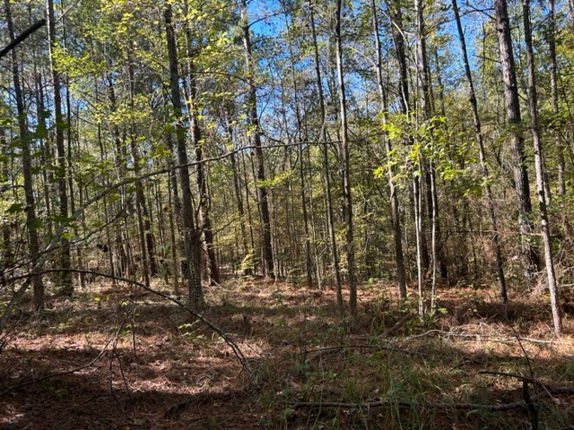 Tbd Highway 550 Property Photo 19