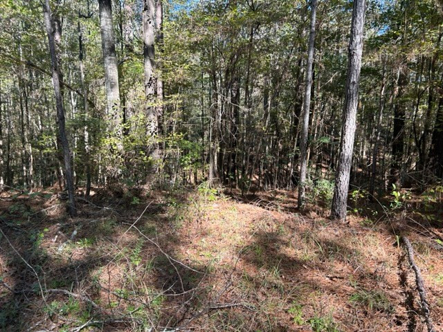 Tbd Highway 550 Property Photo 20