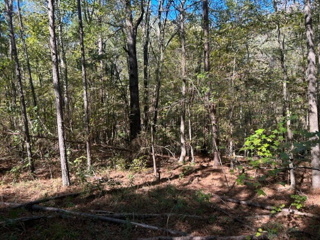 Tbd Highway 550 Property Photo 21