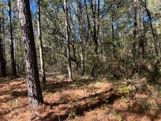 Tbd Highway 550 Property Photo 26