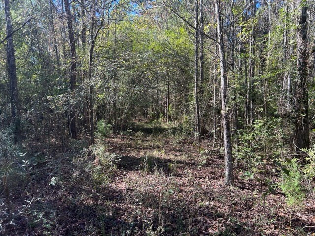 Tbd Highway 550 Property Photo 30