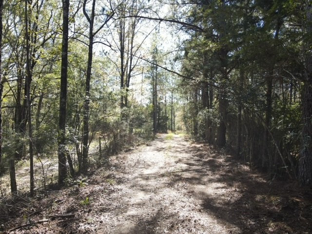 Tbd Highway 550 Property Photo 32