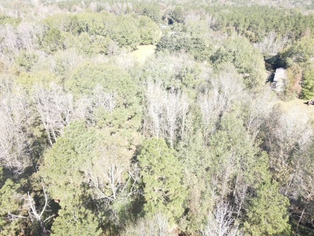 Tbd Highway 550 Property Photo 35