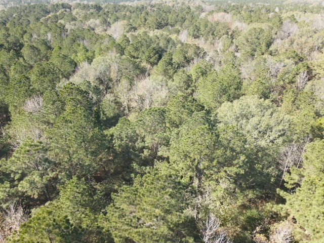 Tbd Highway 550 Property Photo 36