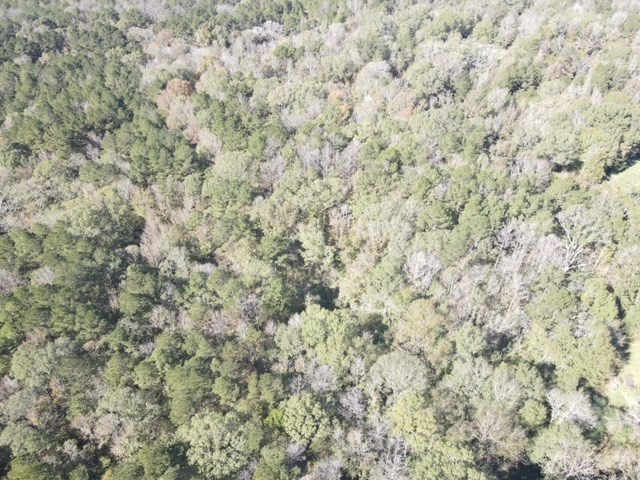 Tbd Highway 550 Property Photo 39