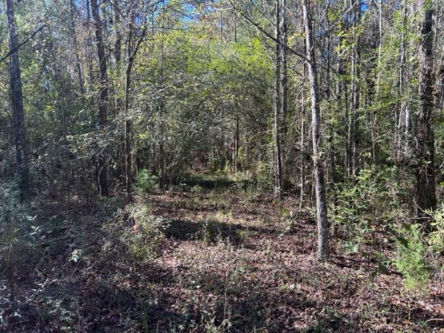 Tbd Highway 550 Property Photo 40