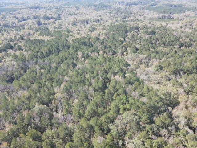 Tbd Highway 550 Property Photo 49