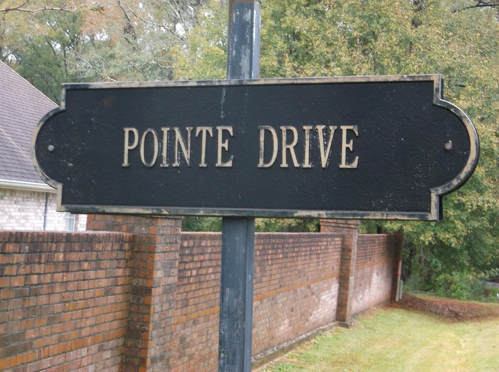 Tbd Pointe Drive Property Photo 2