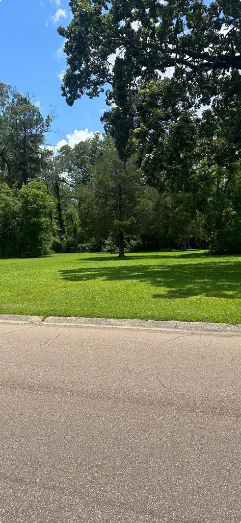 511 White Oak Property Photo 2