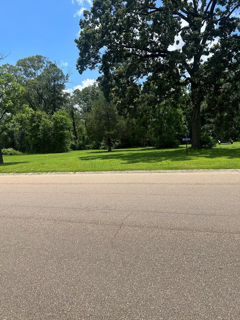 511 White Oak Property Photo 3