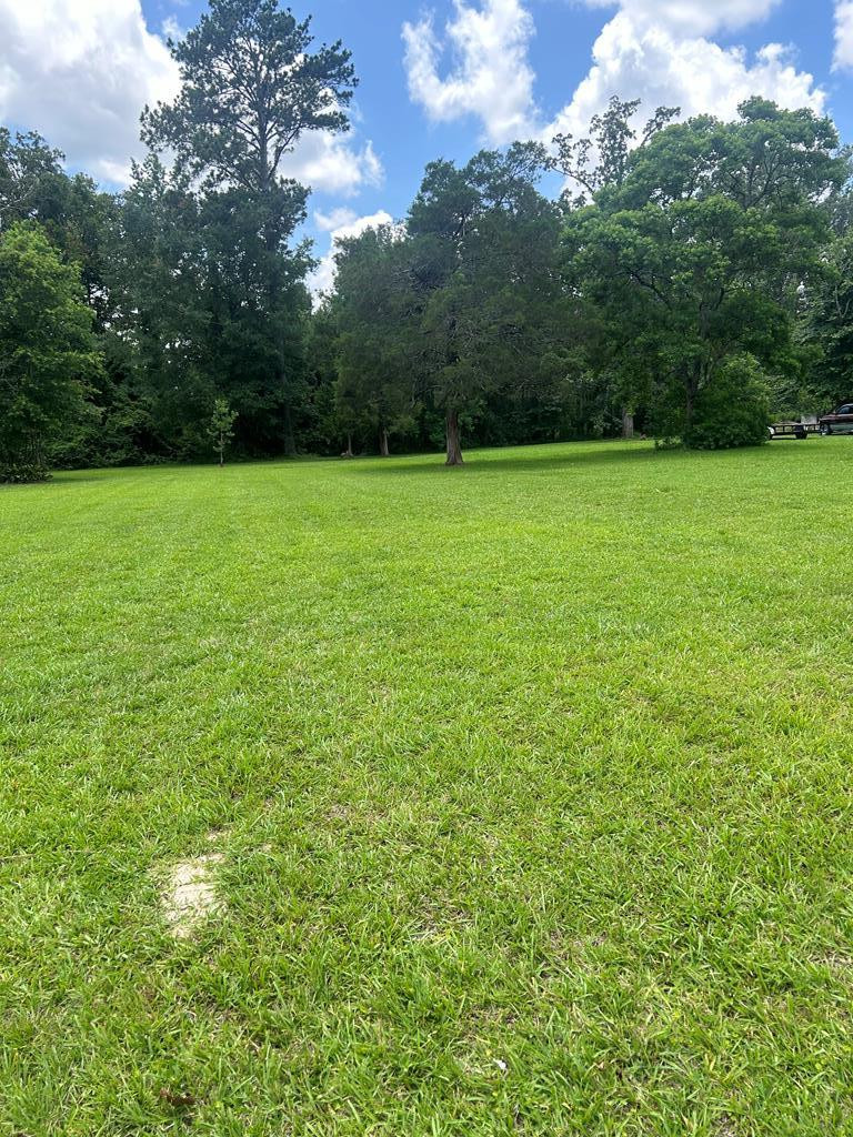 511 White Oak Property Photo 4