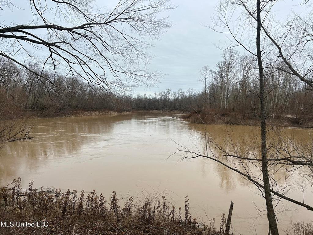 0 Campbell Swamp Road Property Photo 1
