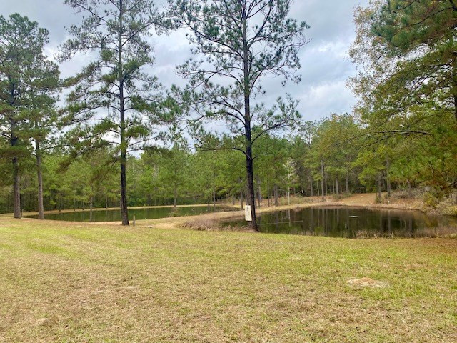 129 Buck Branch School Road Property Photo 3