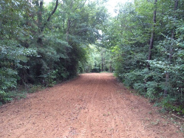 129 Buck Branch School Road Property Photo 21