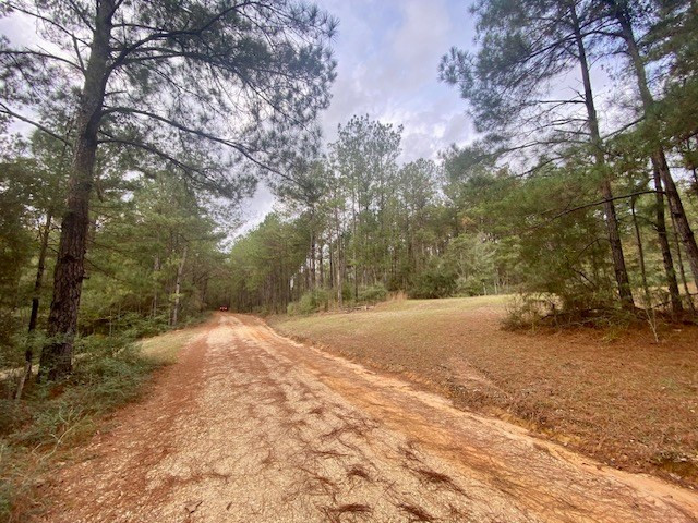 129 Buck Branch School Road Property Photo 22