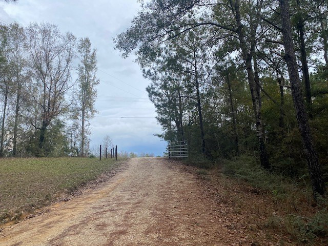 129 Buck Branch School Road Property Photo 23