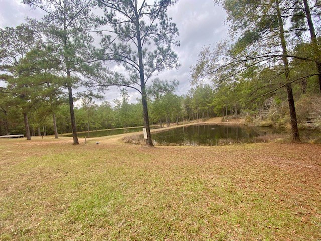 129 Buck Branch School Road Property Photo 24