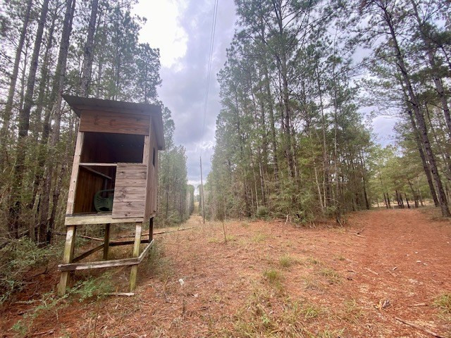 129 Buck Branch School Road Property Photo 25