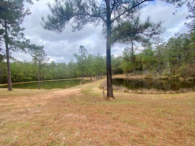 129 Buck Branch School Road Property Photo 26