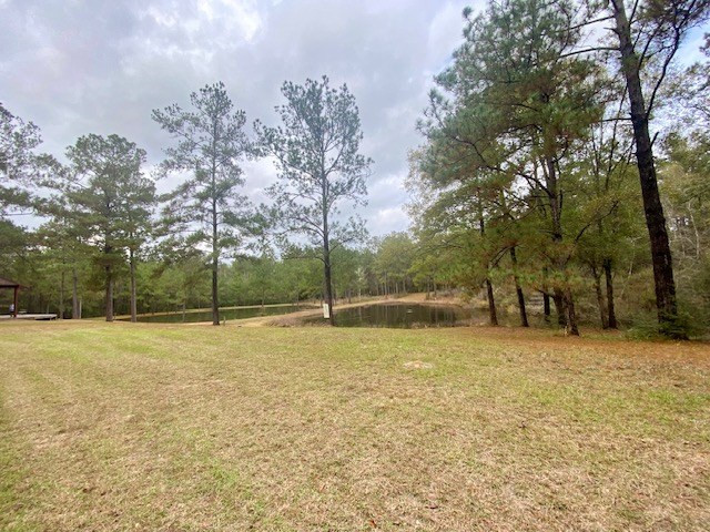 129 Buck Branch School Road Property Photo 27