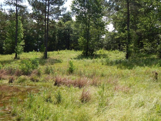 129 Buck Branch School Road Property Photo 28