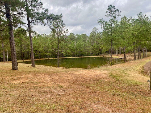 129 Buck Branch School Road Property Photo 29