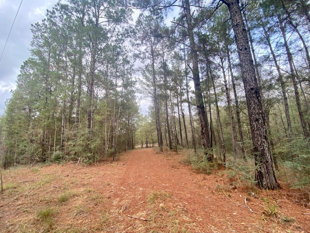 129 Buck Branch School Road Property Photo 30