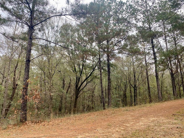 129 Buck Branch School Road Property Photo 31