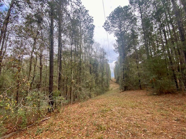 129 Buck Branch School Road Property Photo 32