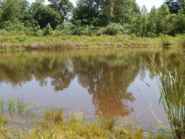 129 Buck Branch School Road Property Photo 33