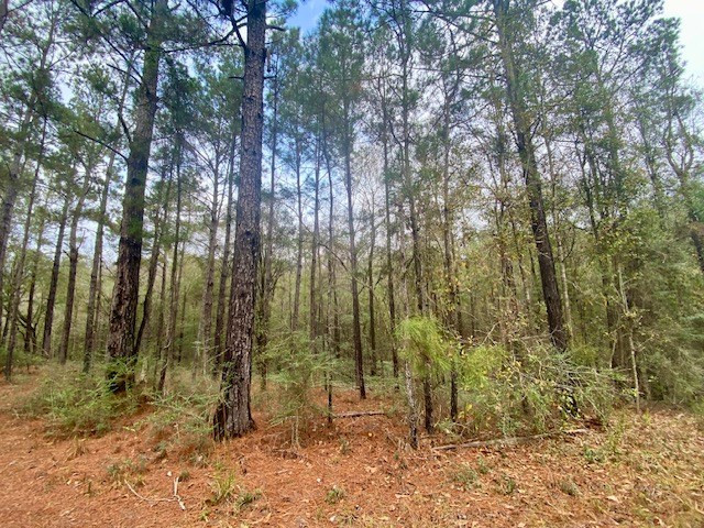 129 Buck Branch School Road Property Photo 37