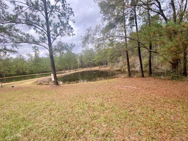 129 Buck Branch School Road Property Photo 38