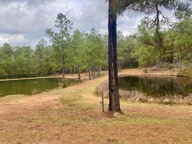 129 Buck Branch School Road Property Photo 39