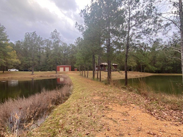 129 Buck Branch School Road Property Photo 53