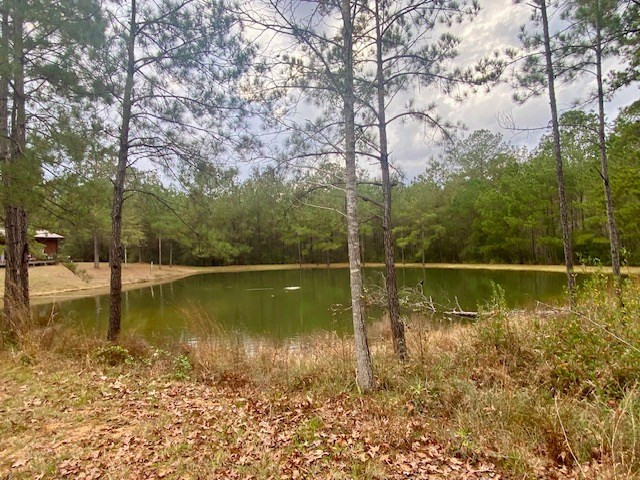 129 Buck Branch School Road Property Photo 54