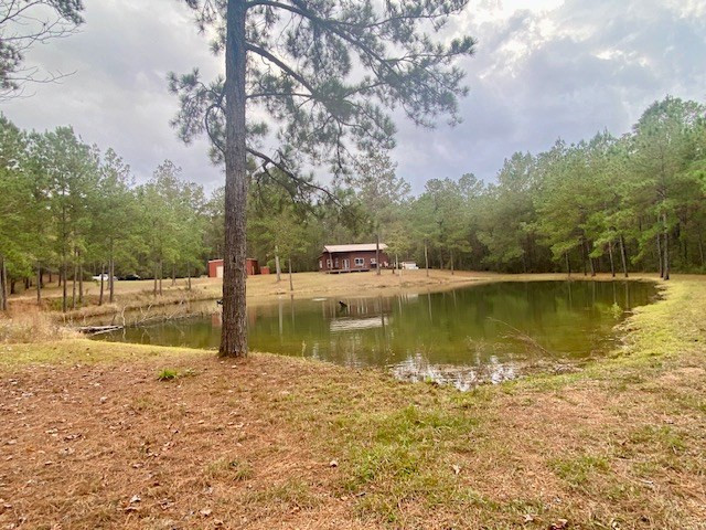 129 Buck Branch School Road Property Photo 55