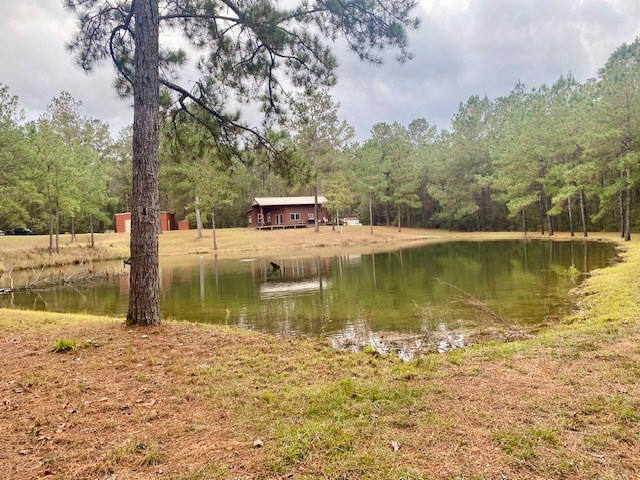 129 Buck Branch School Road Property Photo 56