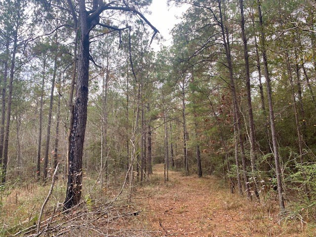 129 Buck Branch School Road Property Photo 57