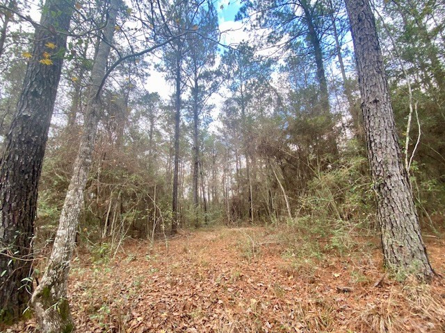 129 Buck Branch School Road Property Photo 58