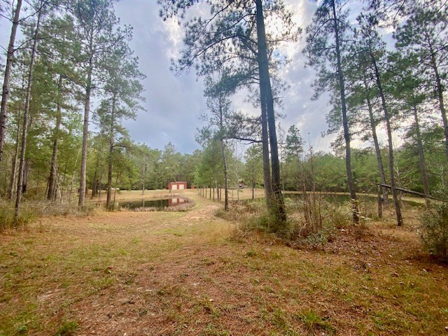 129 Buck Branch School Road Property Photo 60