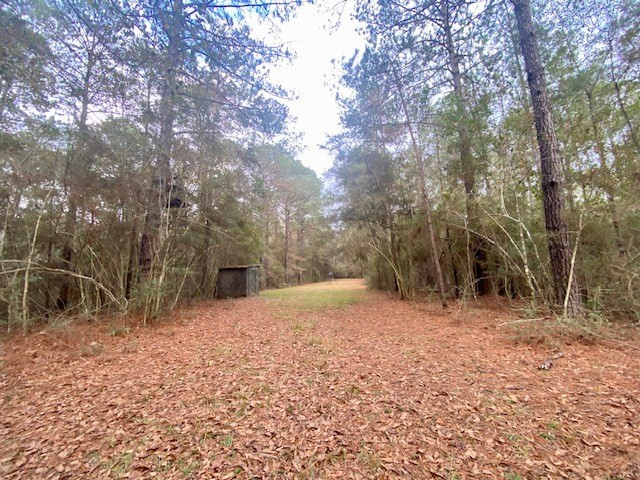 129 Buck Branch School Road Property Photo 61