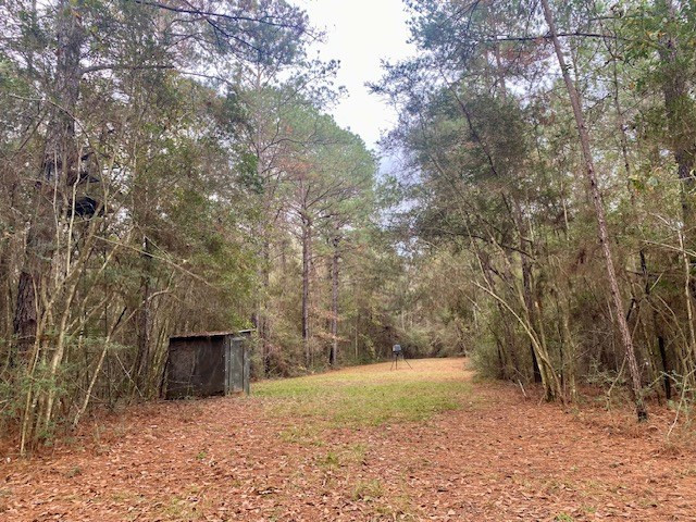 129 Buck Branch School Road Property Photo 62